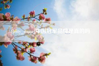 黄石中国冠军品牌是真的吗