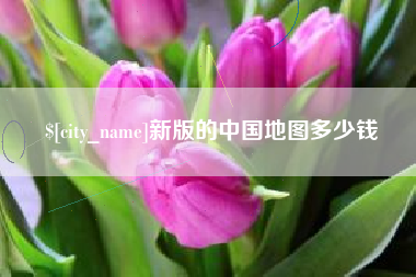 黄石新版的中国地图多少钱