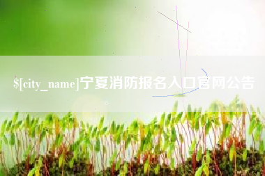 黄石宁夏消防报名入口官网公告