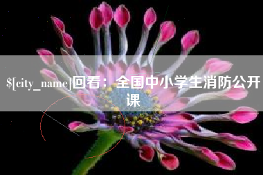 黄石回看：全国中小学生消防公开课