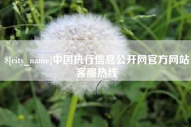 黄石中国执行信息公开网官方网站客服热线
