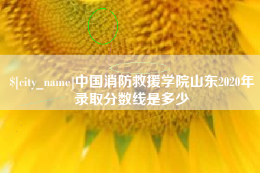 黄石中国消防救援学院山东2020年录取分数线是多少