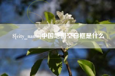 黄石中国地图空白框是什么
