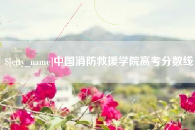 黄石中国消防救援学院高考分数线