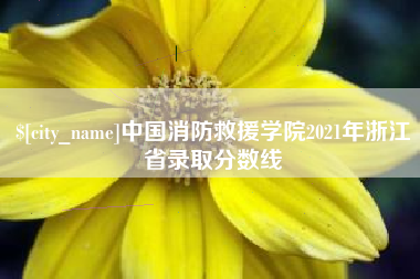 黄石中国消防救援学院2021年浙江省录取分数线