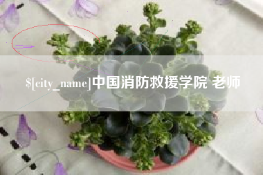 黄石中国消防救援学院 老师