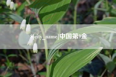 黄石中国第9金