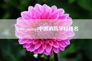 黄石中国消防学校排名