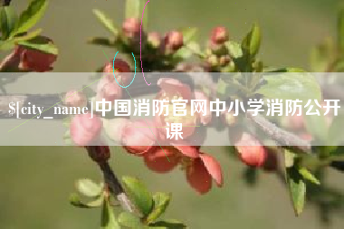 黄石中国消防官网中小学消防公开课