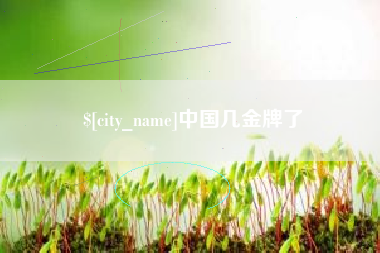 黄石中国几金牌了