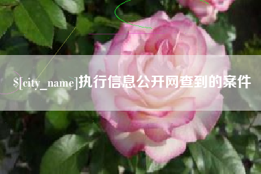 黄石执行信息公开网查到的案件