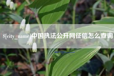 黄石中国执法公开网征信怎么查询