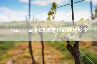 黄石消防大学分数线是多少