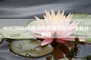 黄石中国消防救援学院2019录取分数线