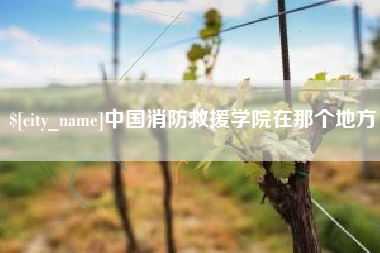 黄石中国消防救援学院在那个地方