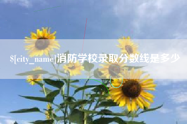 黄石消防学校录取分数线是多少