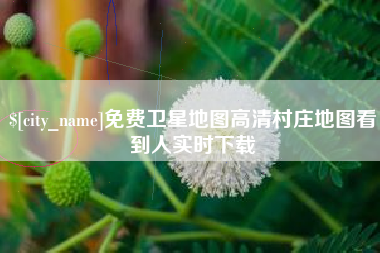 黄石免费卫星地图高清村庄地图看到人实时下载
