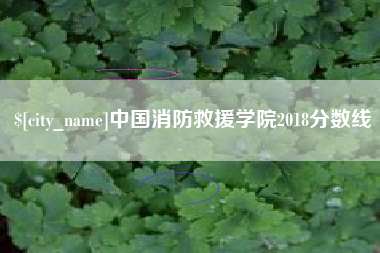 黄石中国消防救援学院2018分数线
