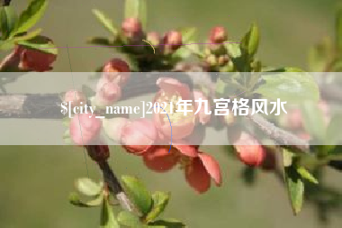 黄石2021年九宫格风水