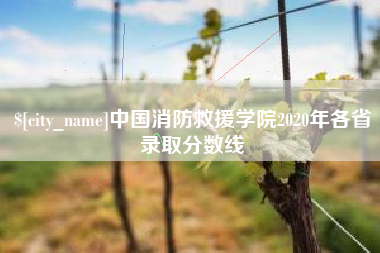 黄石中国消防救援学院2020年各省录取分数线