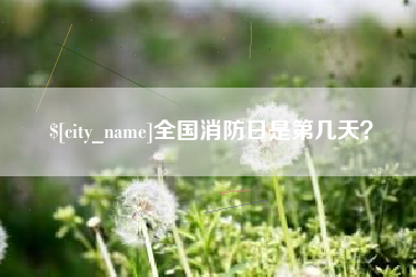 黄石全国消防日是第几天？