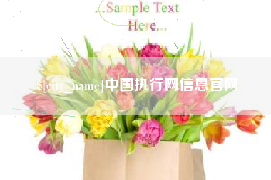 黄石中国执行网信息官网