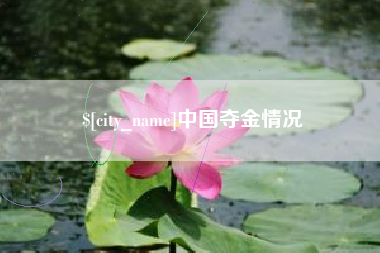 黄石中国夺金情况