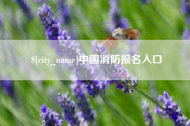 黄石中国消防报名入口