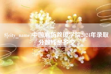 黄石中国消防救援学院2024年录取分数线是多少