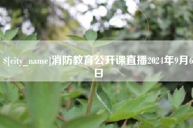 黄石消防教育公开课直播2024年9月6日