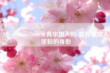 黄石5000米有中国人吗-都有中国人坚毅的身影