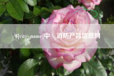 黄石中囯消防产品信息网