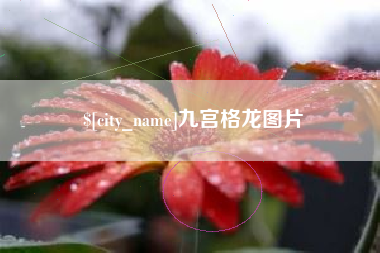 黄石九宫格龙图片