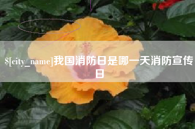 黄石我国消防日是哪一天消防宣传日