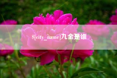黄石九金是谁