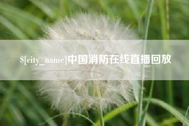 黄石中国消防在线直播回放