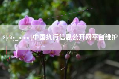 黄石中国执行信息公开网平台维护