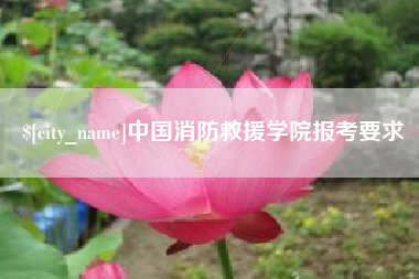 黄石中国消防救援学院报考要求