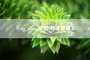 黄石中国9枚金牌得主