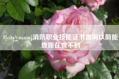 黄石消防职业技能证书查询以前能查现在查不到