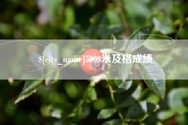 黄石5000米及格成绩