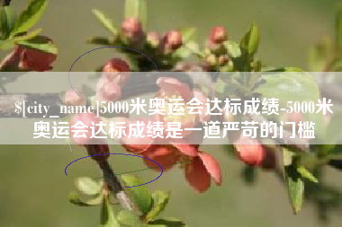 黄石5000米奥运会达标成绩-5000米奥运会达标成绩是一道严苛的门槛