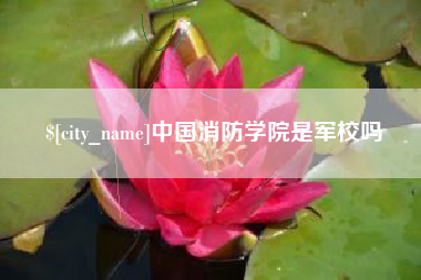 黄石中国消防学院是军校吗