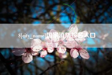 黄石国家消防报名入口