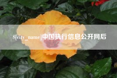黄石中国执行信息公开网后