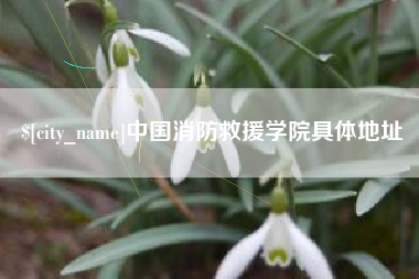 黄石中国消防救援学院具体地址