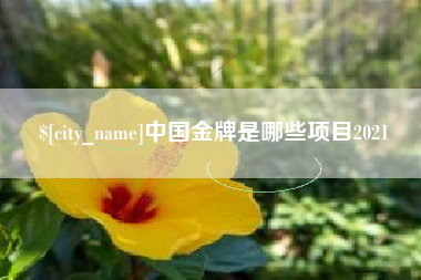 黄石中国金牌是哪些项目2021