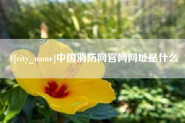 黄石中国消防网官网网址是什么