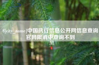 黄石中国执行信息公开网信息查询官网限消中查询不到