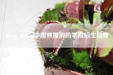 黄石中国救援消防学院招生简章